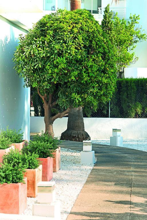 Cabot Sivella Apartments Port de Pollença Exteriör bild